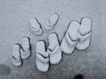flipflopsnow